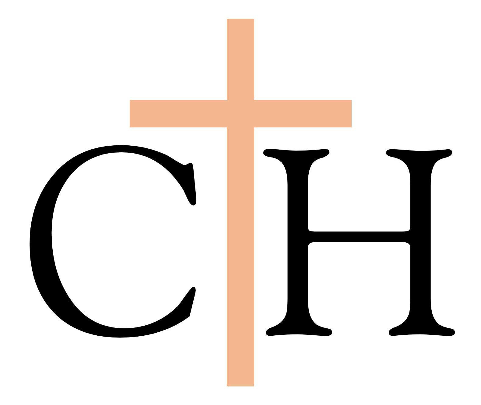 The Carpenter's Hands